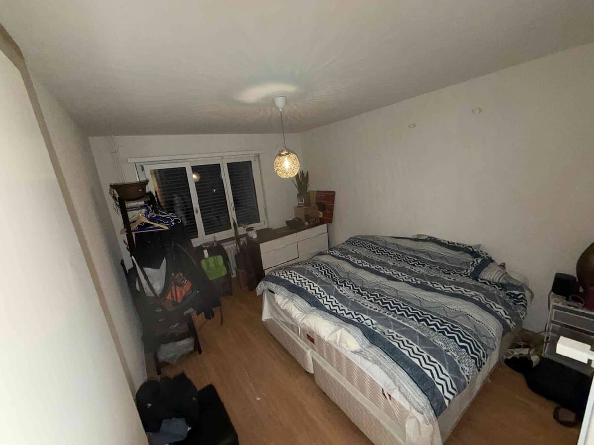 3.5 Wipkingen Mitbewohner gesucht Dez25 bis Jan26 — photo 1