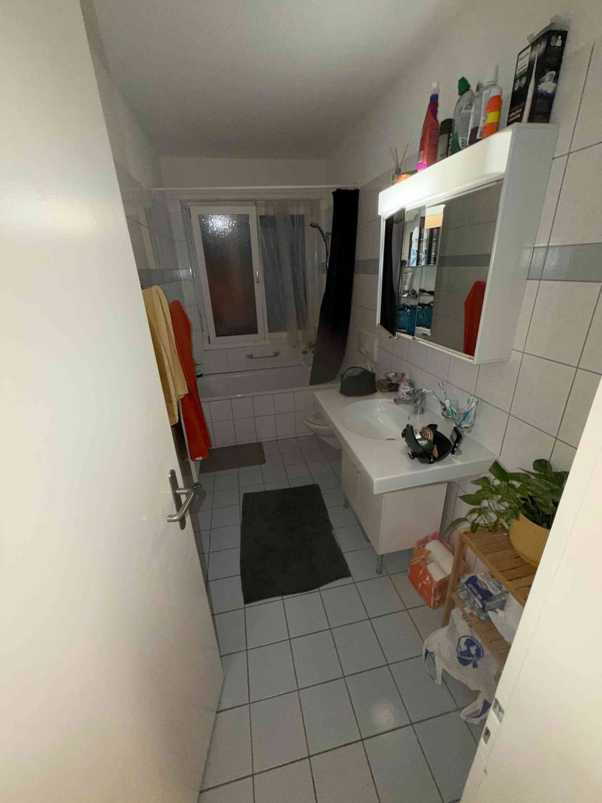 3.5 Wipkingen Mitbewohner gesucht Dez25 bis Jan26 — vignette 4