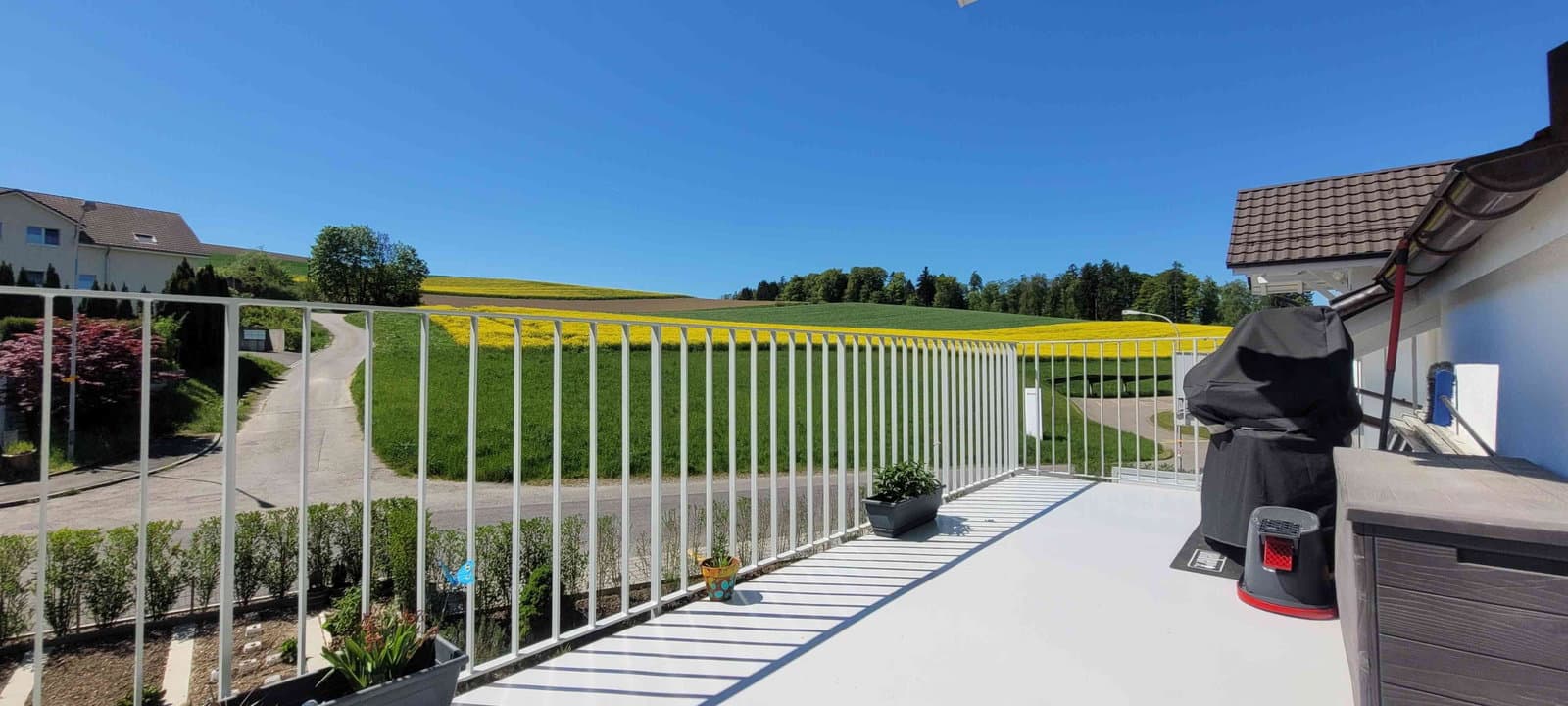 Helles WG-Zimmer in 4.5-Zimmer-Dachwohnung in ruhiger, grüner Umgebung — photo 1