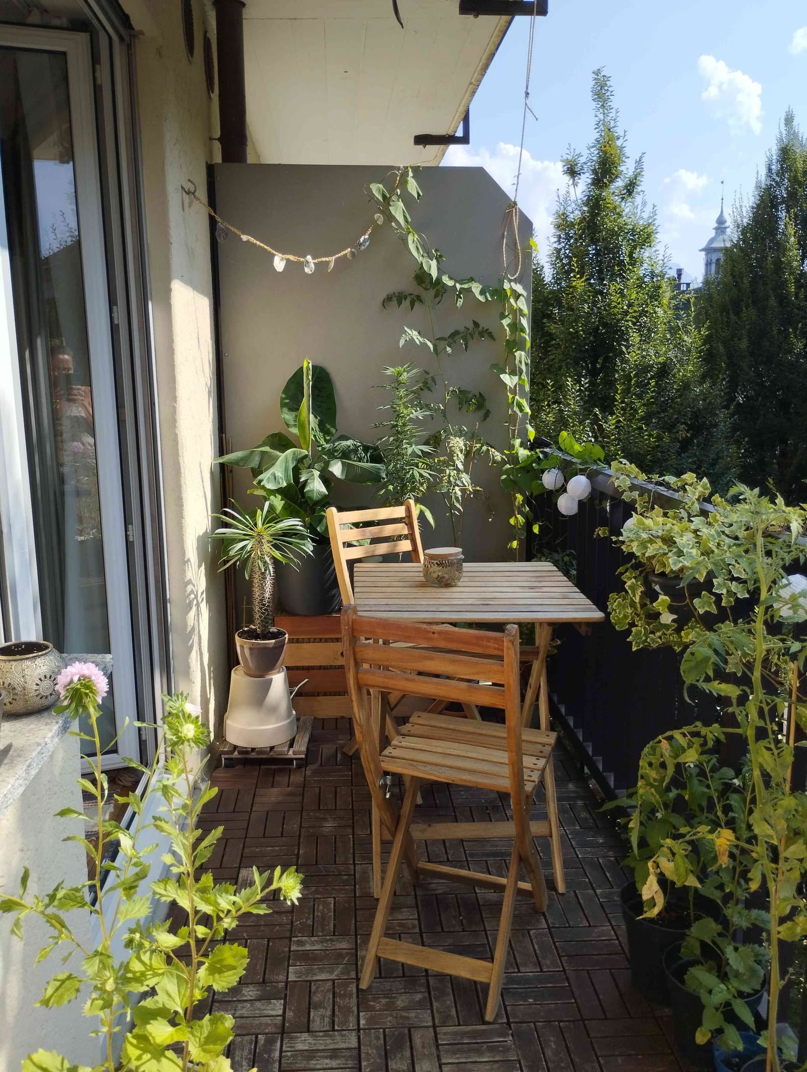-Zentrale 2.5 Zimmer Wohnung zur Untermiete- — vignette 3