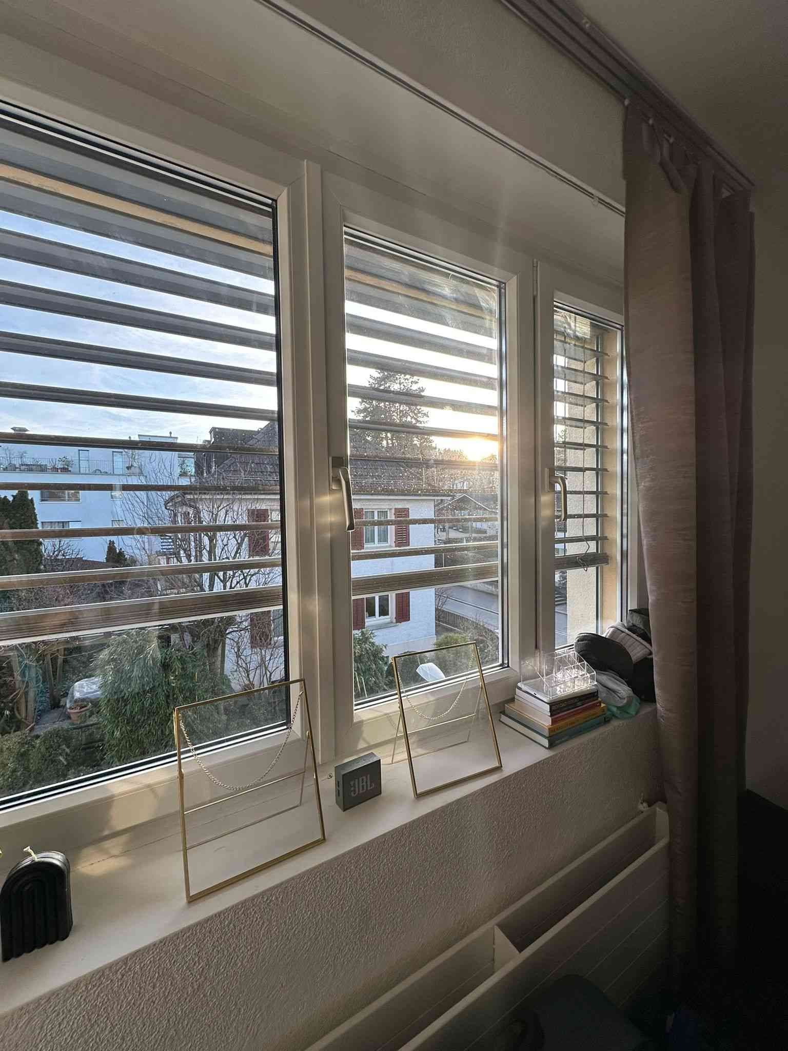 Oerlikon  1st August — vignette 4