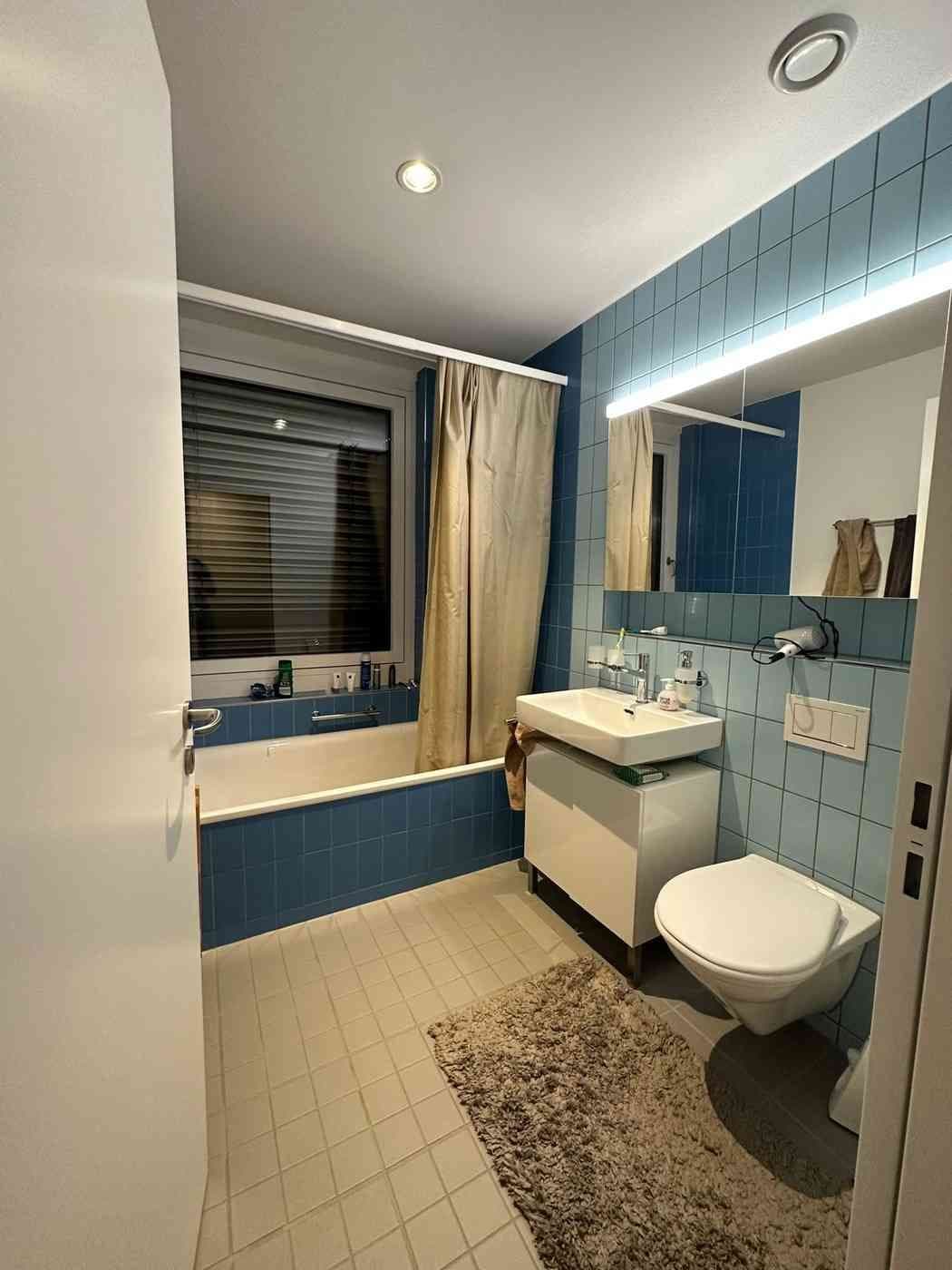 Comfortable Apartment right in the Heart of Geneva — vignette 3