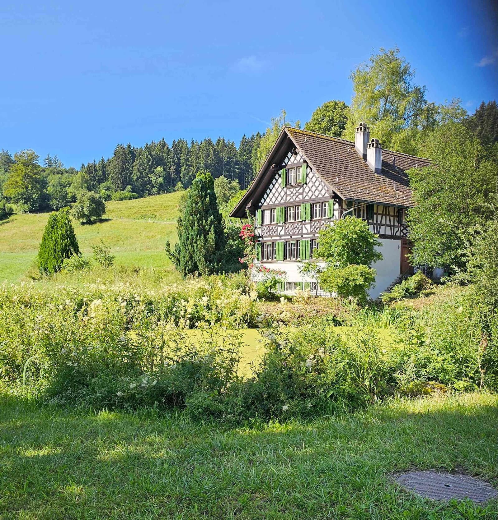 WG Zimmer — photo 1
