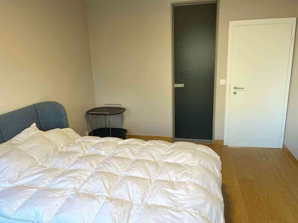 Exceptional Luxury Apartment 4,5p - Grand-Saconnex, Geneva — vignette 6