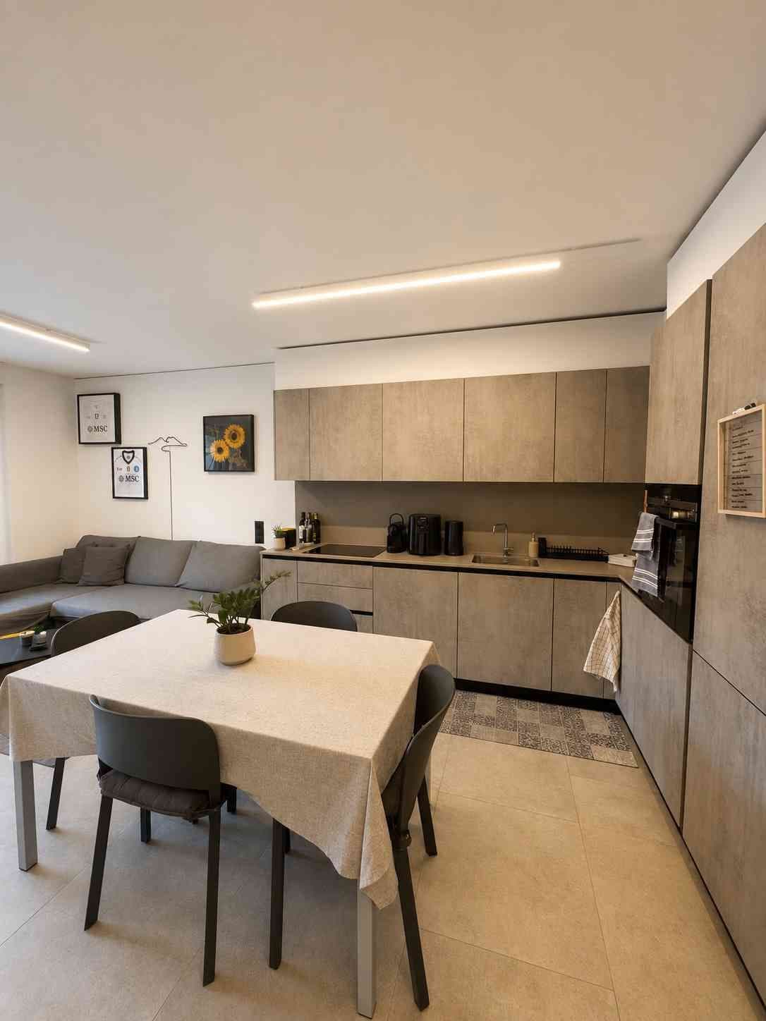 ?? Moderno 2.5 locali arredato con grande terrazzo - Riva San Vitale — vignette 5