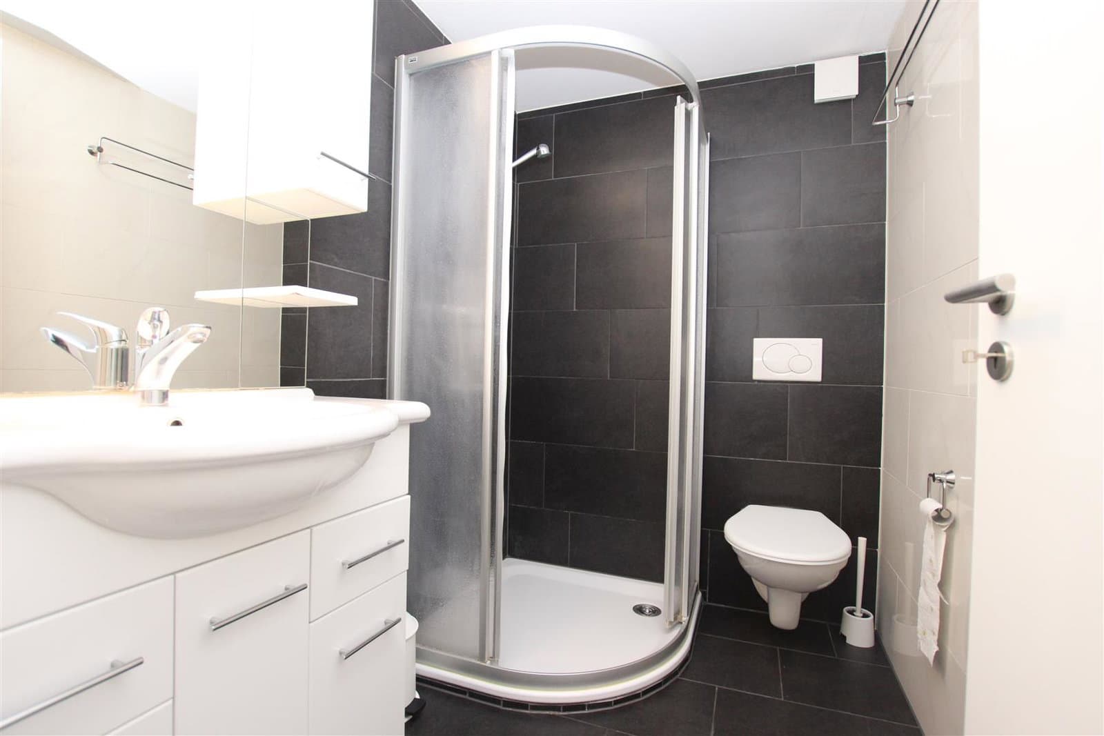 Appartement de 1.5 pièces — vignette 4
