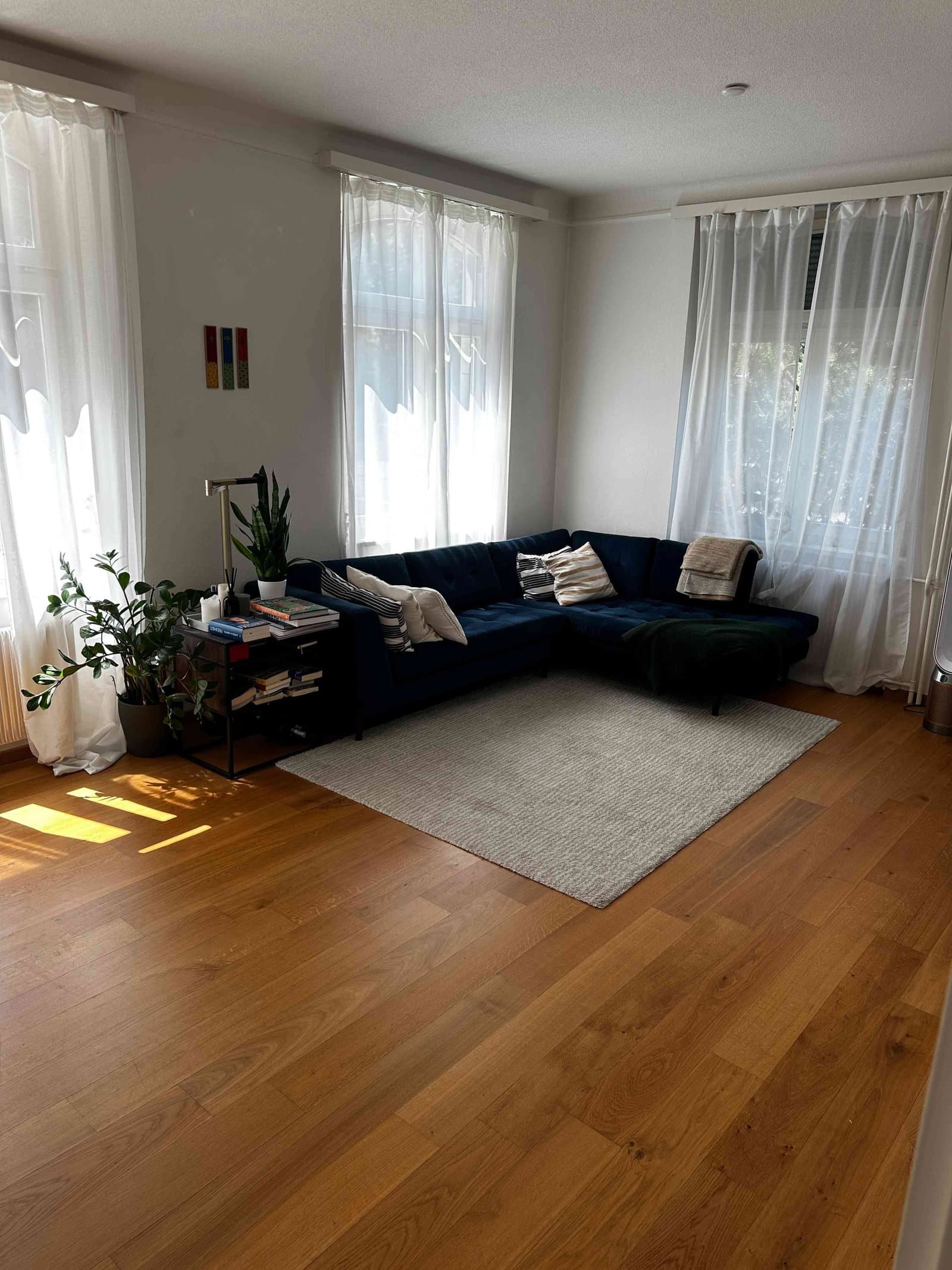Möblierte Wohnung in Wollishofen/Enge zu vermieten — photo 1