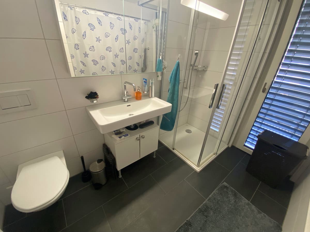 WG-Zimmer in Zürich — vignette 4