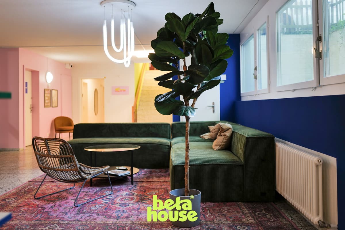 betahouse — vignette 5