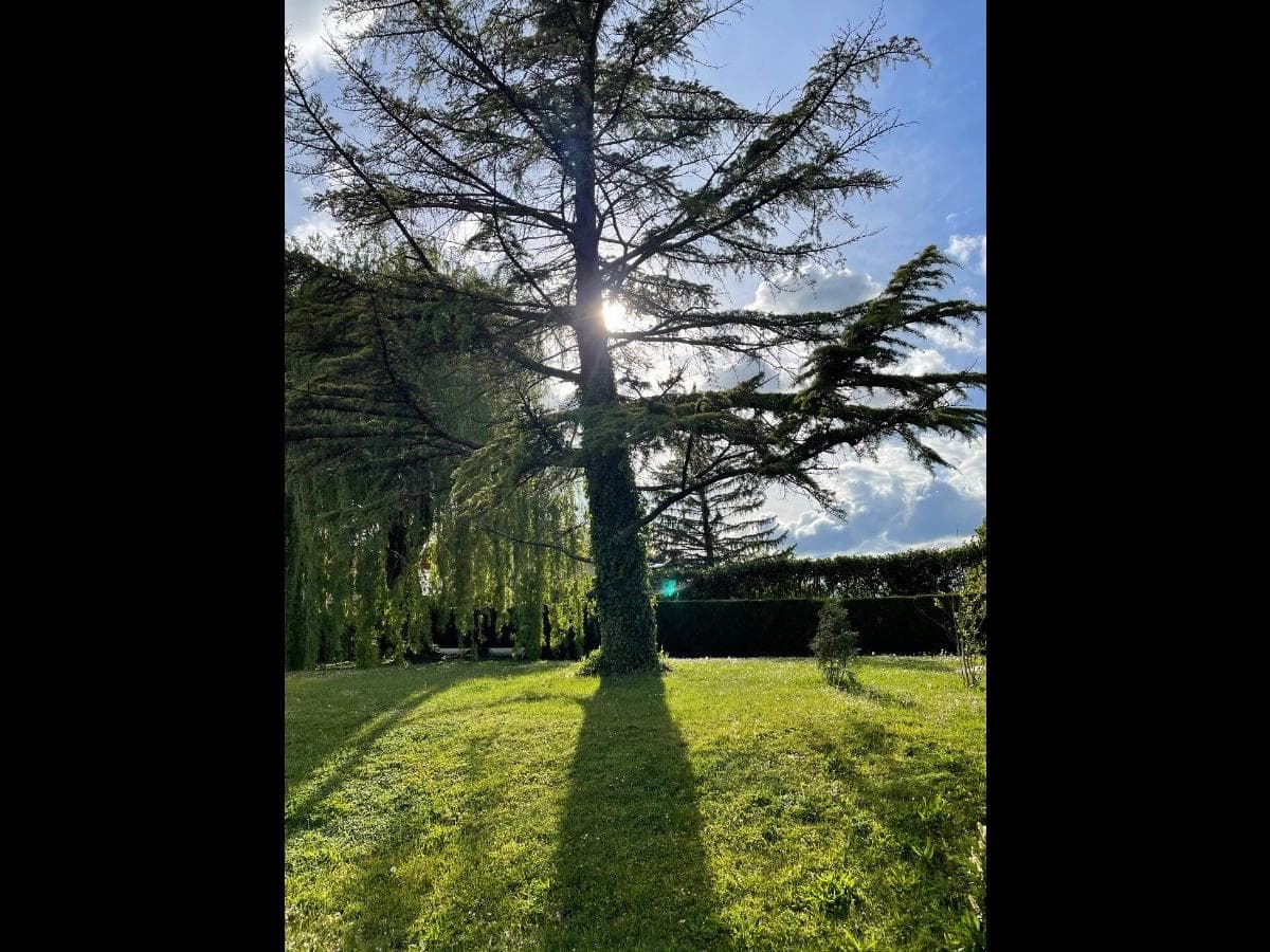 Villa 10 pièces de 370 m² — vignette 12