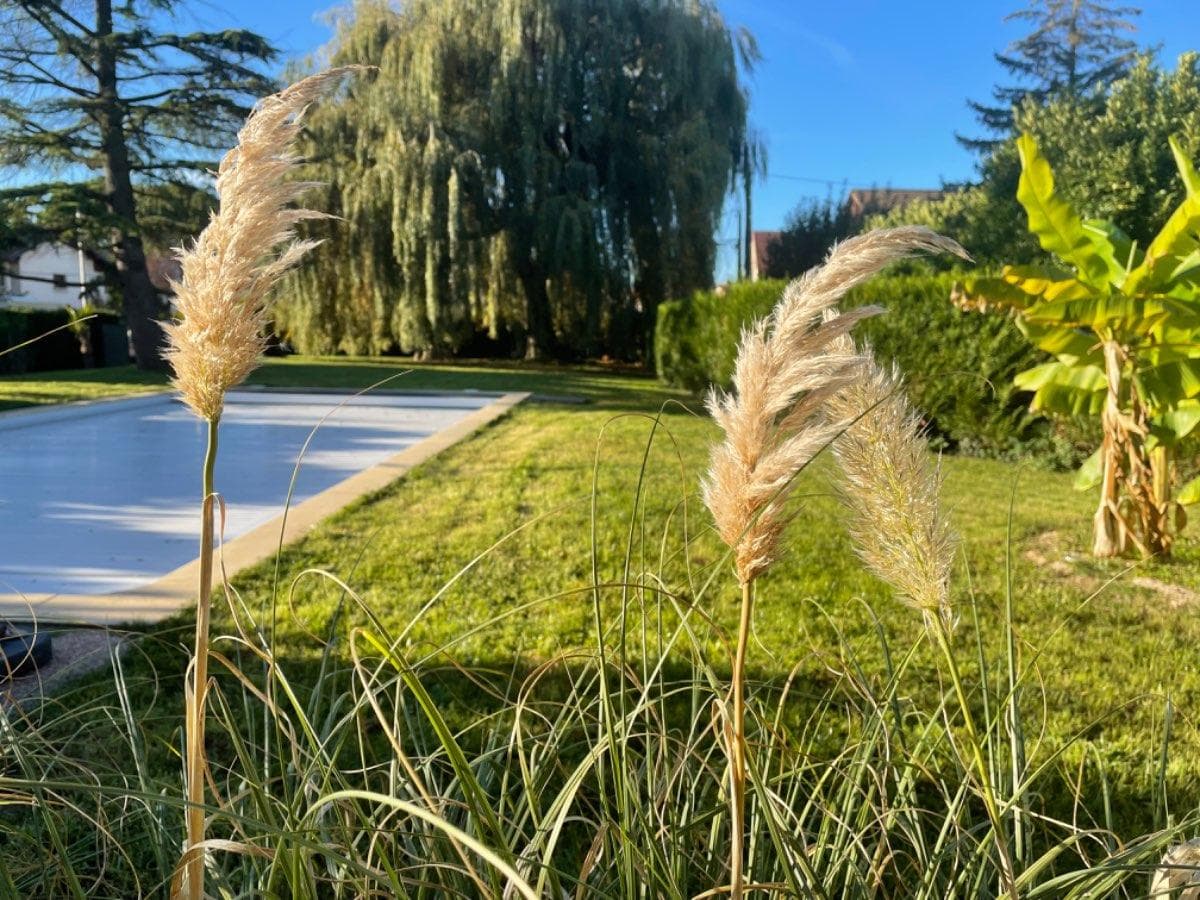 Villa 10 pièces de 370 m² — vignette 8