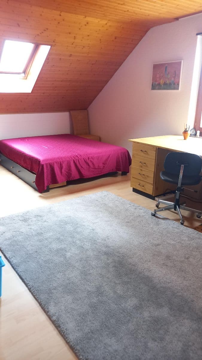 Chambre en colocation · Zürich (Oerlikon) — photo 1