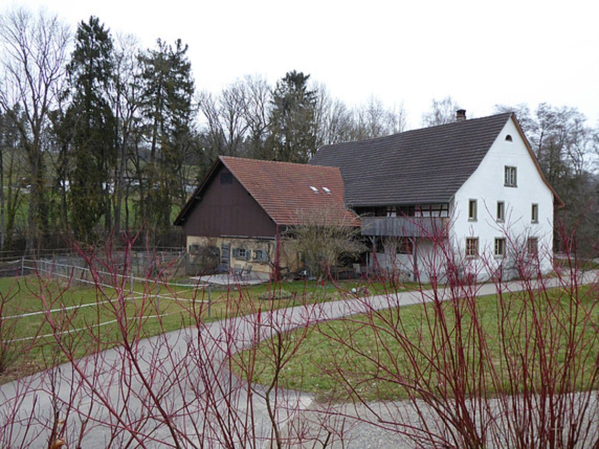 Chambre en colocation · Wiesendangen (Wiesendangen) — photo 1