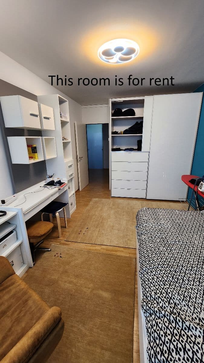 Chambre en colocation · Zürich (Kreis 12 - Hirzenbach) — photo 1