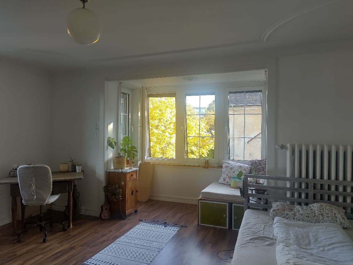 Chambre en colocation · Zürich (Friesenberg) — photo 1