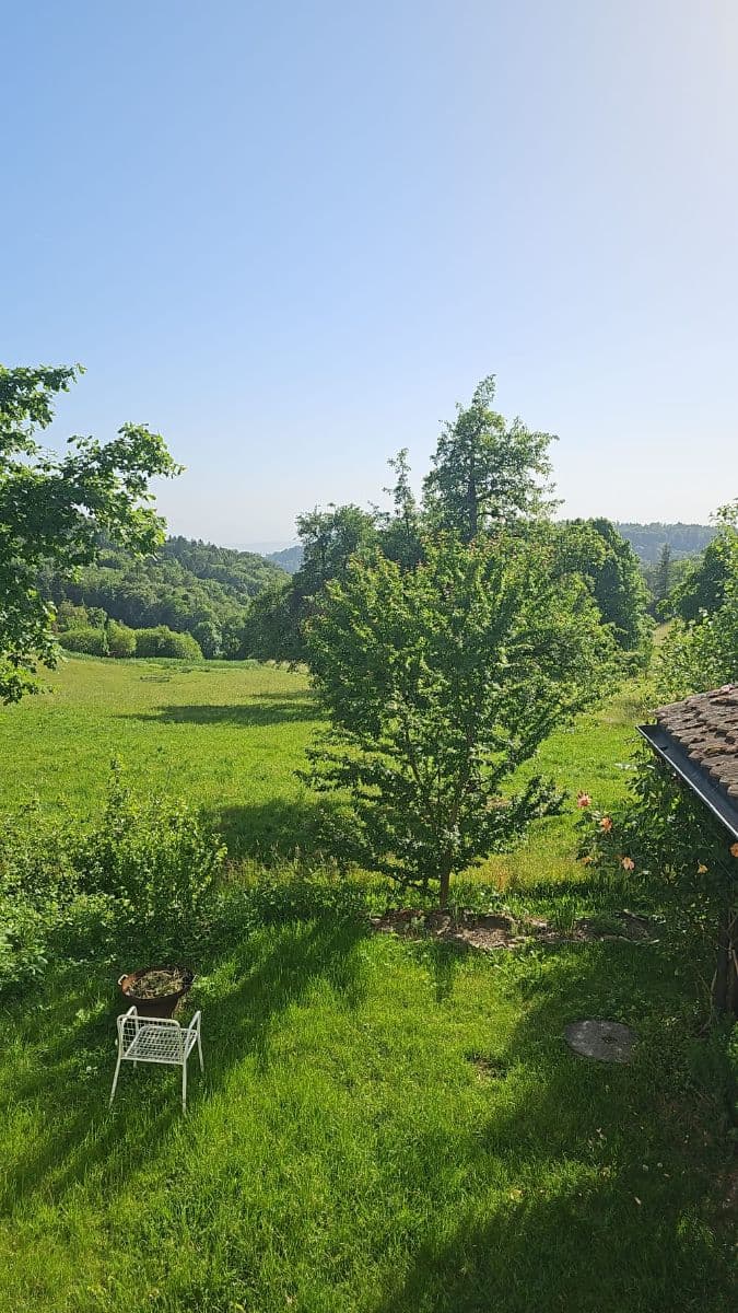 Chambre en colocation · Stallikon (Hinterbuchenegg) — photo 1