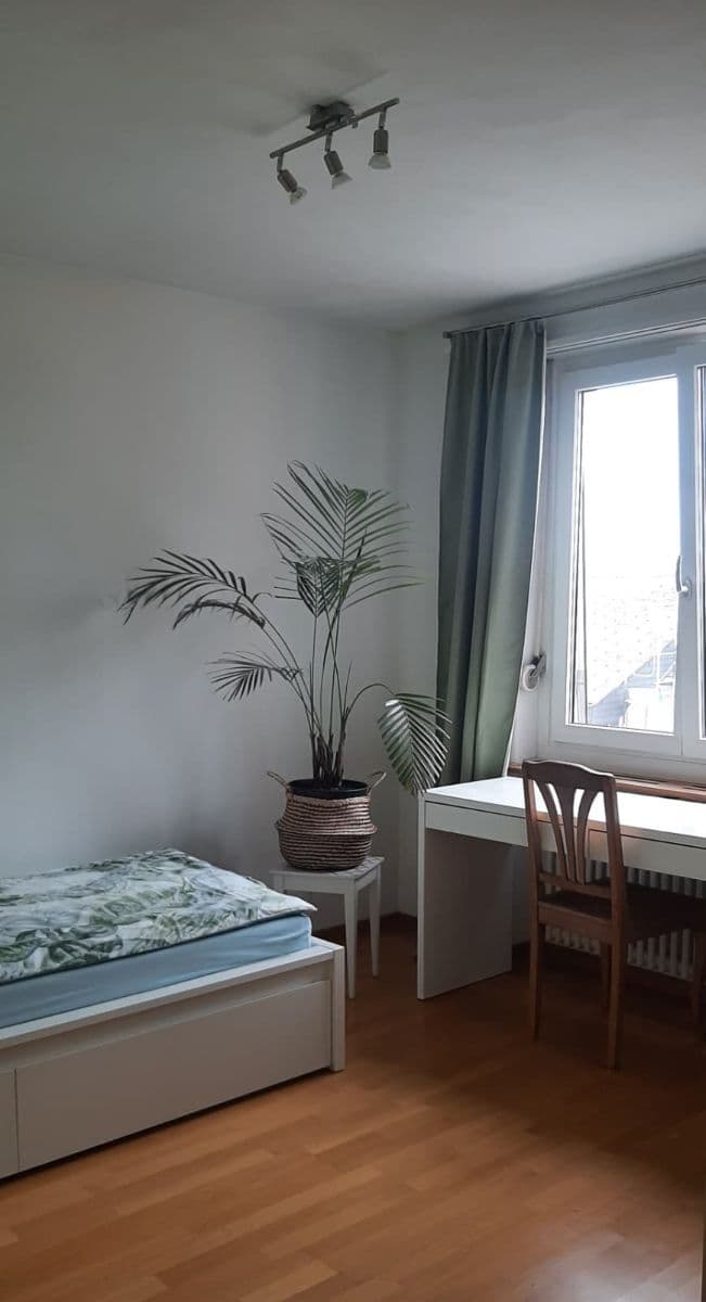 Chambre en colocation · Wädenswil — photo 1