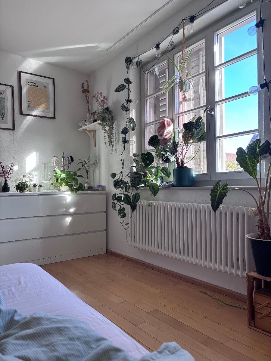 Chambre en colocation · Zürich (2) — photo 1