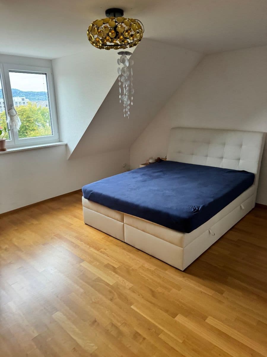 Chambre en colocation · Zürich Kreis 10 (Kreis 10 Wipkingen) — photo 1